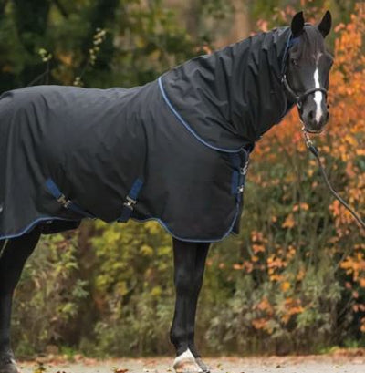 Winter blankets that your horse will love