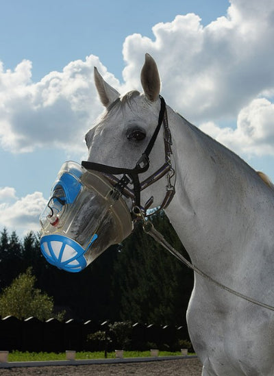 Atemwegsgesundheit für Vierbeiner: Der Inhalator für Pferde von Nebutec