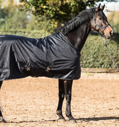 Top 3 horse blankets for autumn