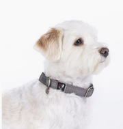 Hundehalsband Anam Cara - Nylon - Pferdekram